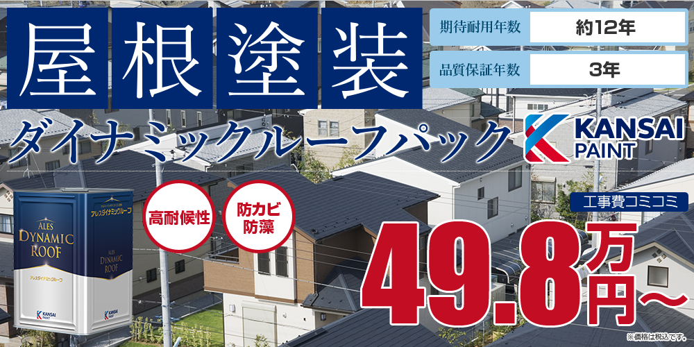 ダイナミックルーフパック塗装 49.8万円