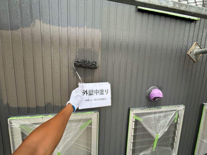 外壁塗装(色分け部)