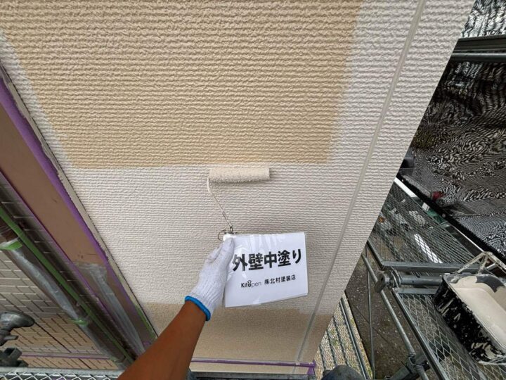 外壁塗装(色分け部)