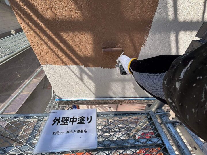 外壁塗装(色分け部)