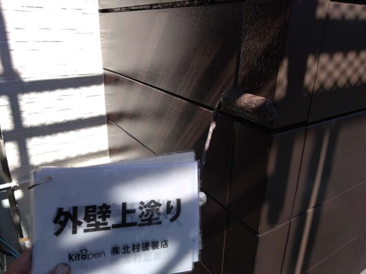 外壁塗装(色分け部)
