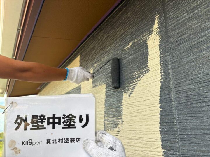 外壁塗装(色分け部)