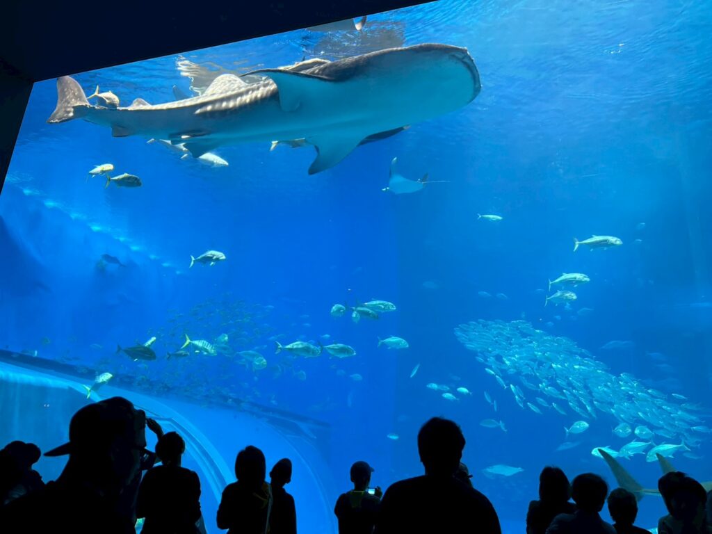 2025年 北村塗装店社員旅行 沖縄