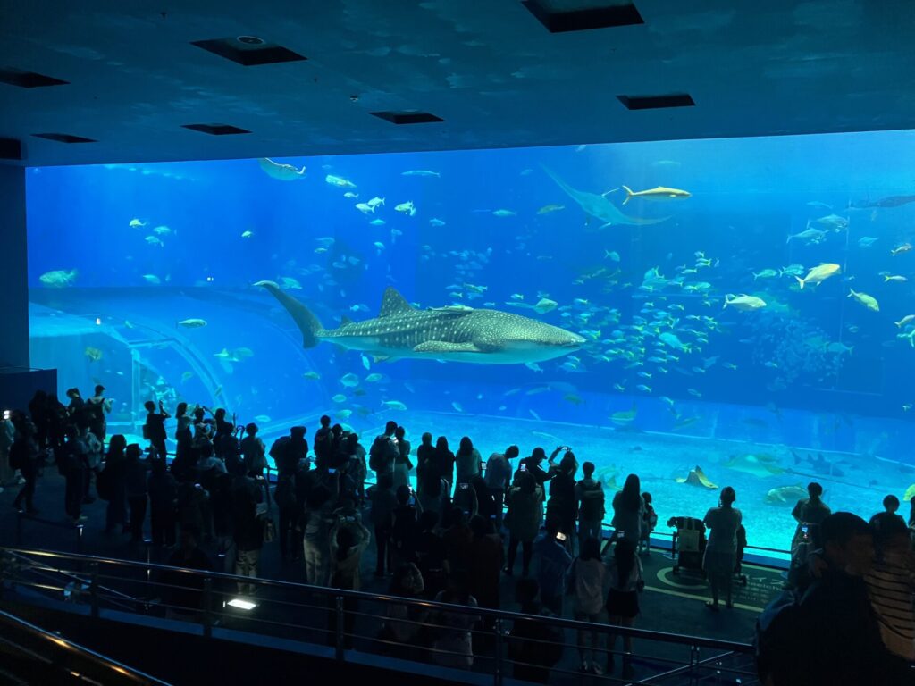 2025年 北村塗装店社員旅行 沖縄