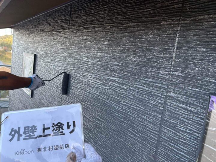 外壁塗装(色分け部)