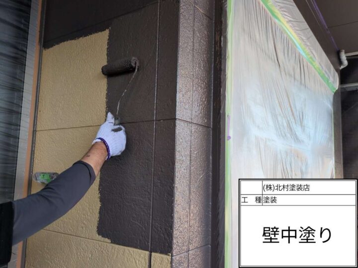 外壁塗装(色分け部)