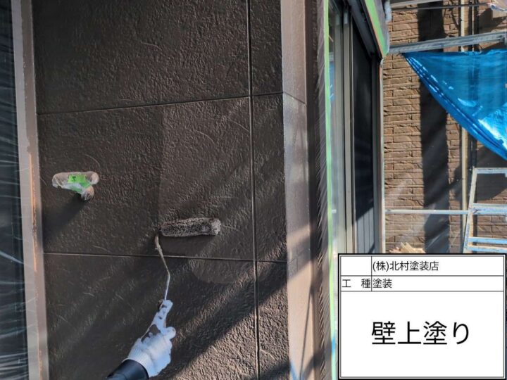 外壁塗装(色分け部)