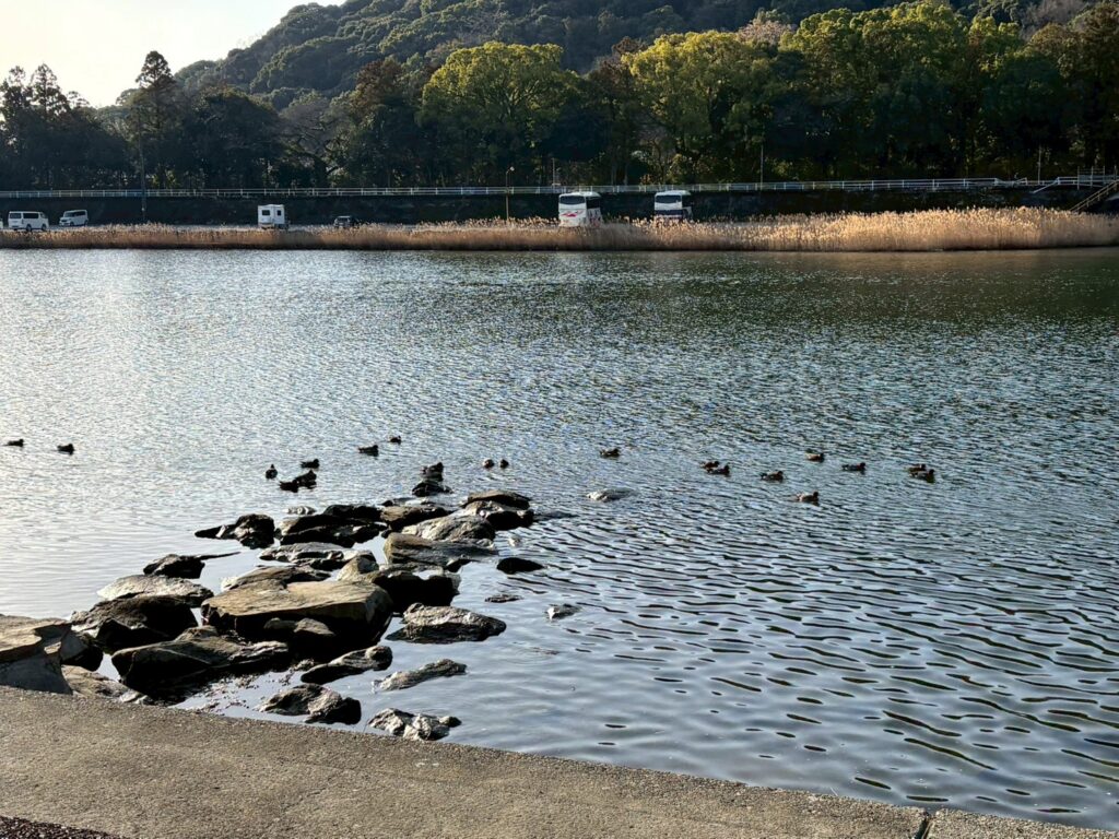 高知市河川清掃