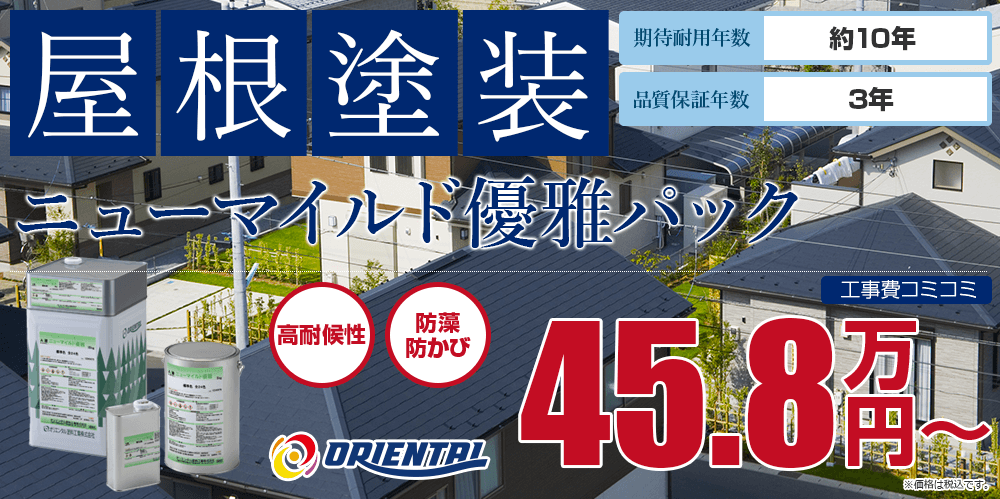 ニューマイルド優雅パック塗装 45.8万円
