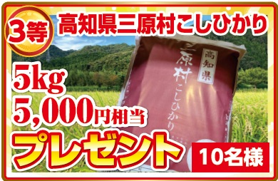 2026年7月 売り尽くし決算セール